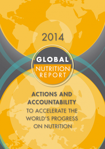 Publication Of The Global Nutrition Report | DCP3